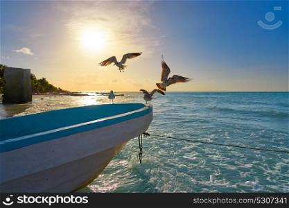 Holbox tropical Island seagulls beach boat in Quintana Roo of Mexico