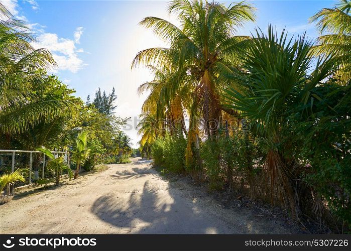 Holbox tropical Island street in Quintana Roo of Mexico