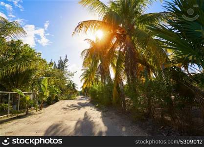 Holbox tropical Island street in Quintana Roo of Mexico