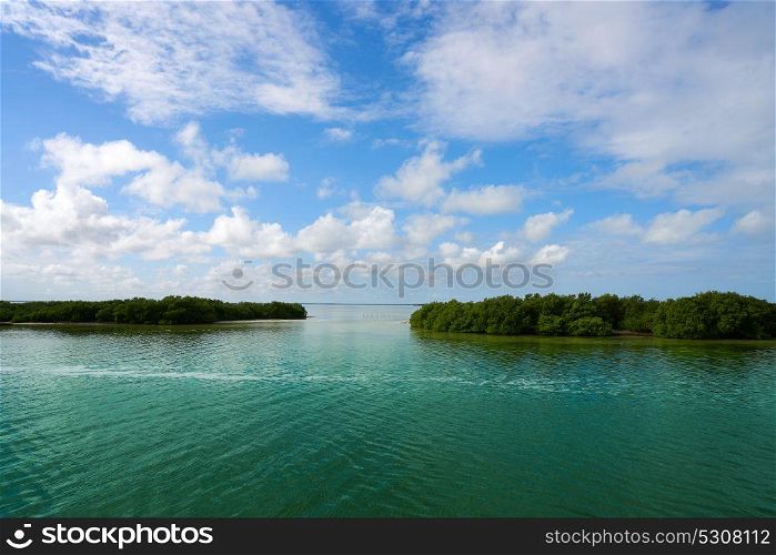 Holbox Yalahau also Conil lagoon in Quintana Roo Mexico