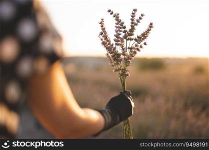 holding a beautiful bouquet of lavender in a hand in a black glove at sunset