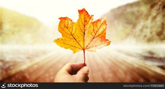 Holding autumn maple leaf in the colorful blurred landscape background for the fall season. Close close leaf in hand, autumn park with sunshine