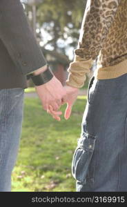 Holding Hands In The Park