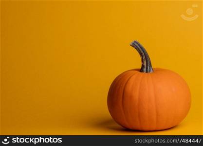 Holiday halloween background with pumpkin on orange, copy space for text. Halloween pumpkin on orange
