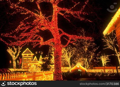 Holiday Lights in Portland Oregon