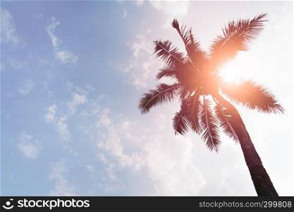 Holiday loading with coconut trees over clear sky on day noon light