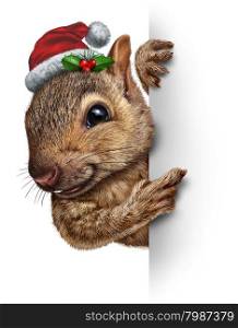Holiday squirrel vertical sign wearing a santa clause hat with holly and red berries hanging over a blank side banner with copy space gripping a billboard as a Christmas new year or winter celebration message.