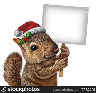 Holiday squirrel wearing a santa clause hat with holly and red berries holding a blank banner sign with copy space as a Christmas new year banner or winter celebration message.