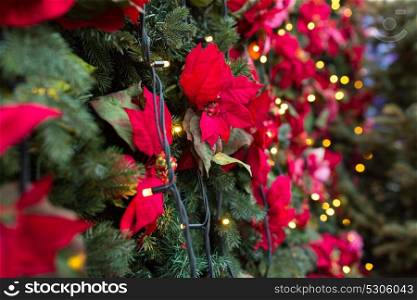 holidays and decoration concept - close up of christmas tree with poinsettia flower decoration and garland. close up of christmas tree with floral decorations