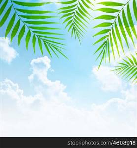 Holidays background, blue sky and palm tree green fresh branches collage, abstract natural floral border, summer travel and vacation, paradise beach getaway, zen relaxation concept