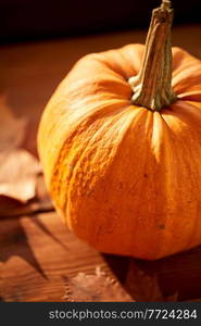 holidays, decoration and season concept - close up of pumpkin and autumn leaves. close up of pumpkin and autumn leaves