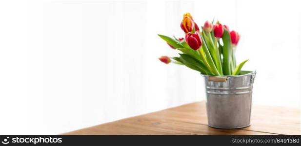 holidays, spring and gardening concept - red tulip flowers in tin bucket on wooden table at home. red tulip flowers on table. red tulip flowers on table