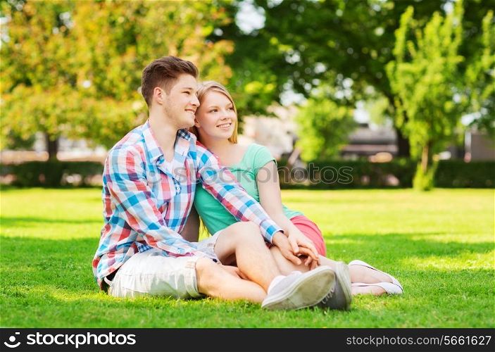 holidays, vacation, love and friendship concept - smiling couple sitting on grass in park