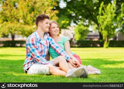 holidays, vacation, love and friendship concept - smiling couple sitting on grass in park