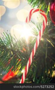 holidays, x-mas, decor and celebration concept - close up of close up of sugar cane candy decoration on christmas tree. close up of sugar cane candy on christmas tree