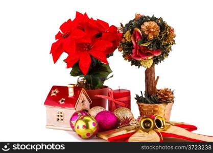 Holly berry flowers and Christmas decoration isolated on white background.