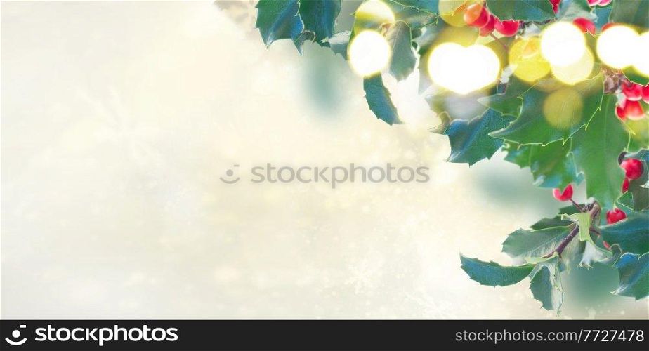 Holly branch with leaves and berries border on gray bokeh background banner. Holly branch on gray background
