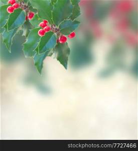 Holly branch with  leaves and berries isolated on gray bokeh  background. Holly branch on gray background