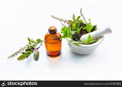 Holy Basil Essential Oil in a Glass Bottle with Fresh Holy Basil Leaves in porcelain mortar on white over background