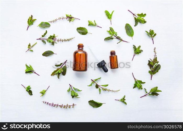 Holy Basil Essential Oil in a Glass Bottle with Fresh Holy Basil