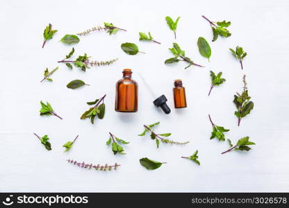 Holy Basil Essential Oil in a Glass Bottle with Fresh Holy Basil