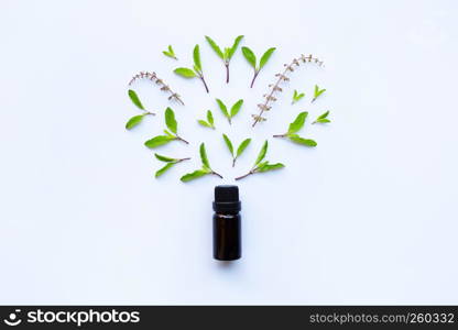 Holy basil essential oil in a glass bottle with fresh holy basil leaves and flower