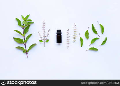 Holy basil essential oil in a glass bottle with fresh holy basil leaves and flower