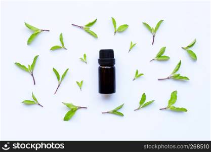 Holy basil essential oil in a glass bottle with fresh holy basil leaves and flower