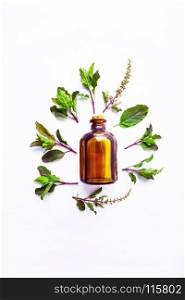 Holy Basil Essential Oil in a Glass Bottle with Fresh Holy Basil white wooden background.