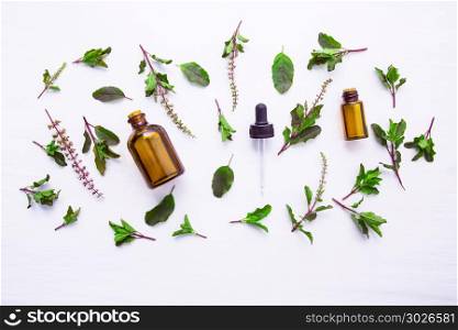 Holy Basil Essential Oil in a Glass Bottle with Fresh Holy Basil white wooden background.. Holy Basil Essential Oil in a Glass Bottle with Fresh Holy Basil