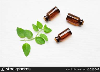 Holy Basil Essential Oil in a Glass Bottle with leaves.. Holy Basil Essential Oil in a Glass Bottle with leaves on white background.