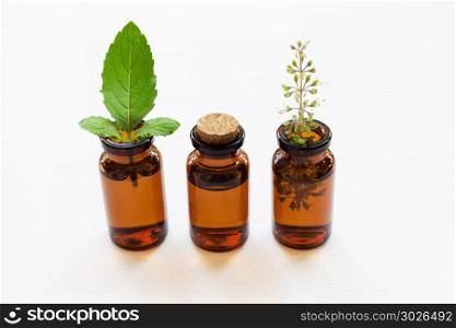 Holy basil essential oil with leaves and flower.. Holy basil essential oil with fresh leaves.