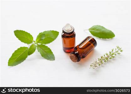 Holy basil essential oil with leaves.. Holy basil essential oil with fresh leaves.