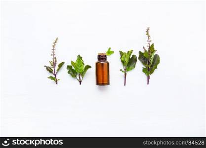 Holy Basil Essential, with Holy Basil Leaves on white wooden background.