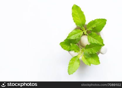 Holy basil leaves in porcelain mortar on white background. Top view with copy space