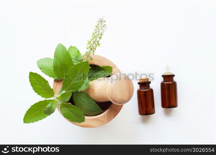 Holy Basil Leaves in wooden mortar and Holy Basil Essential Oil. Holy Basil Leaves in wooden mortar and Holy Basil Essential Oil in a Glass Bottle on white wooden background.