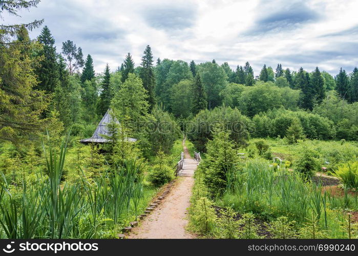 Holy spring of St. Irinarch the Recluse, Borisoglebsky District, Yaroslavl Region, Russia.