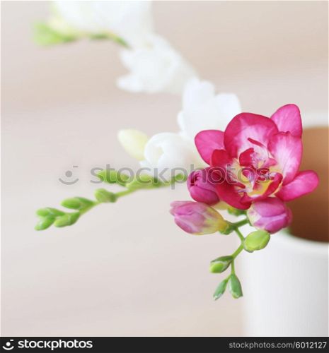 Home decor. Freesia flowers in a vase.