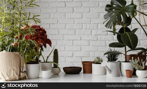 home garden arrangement with copy space. Resolution and high quality beautiful photo. home garden arrangement with copy space. High quality beautiful photo concept