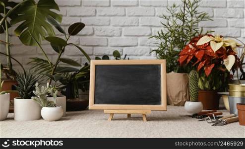 home garden arrangement with empty blackboard