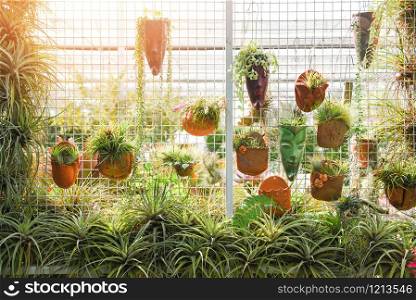 Home gardening and decorating indoor greenhouse environments secret garden and modern gardening setups flowers and plants on wall and greenery in workspaces and live wall with pot /