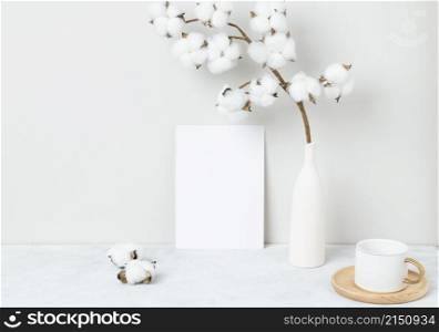 Home interior floral decor, Cotton flower on table, Front view, Blank paper cards, Greeting card Mockup. Beautiful white cotton flowers in vase on white background