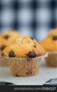 Home made chocolate chip muffins straight out of oven