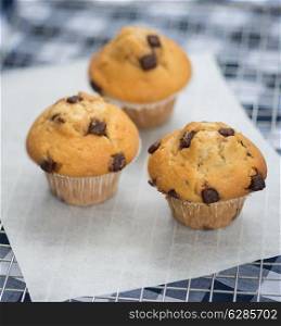 Home made chocolate chip muffins straight out of oven