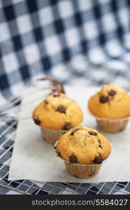 Home made chocolate chip muffins with melting chocolate on whisk