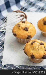 Home made chocolate chip muffins with melting chocolate on whisk