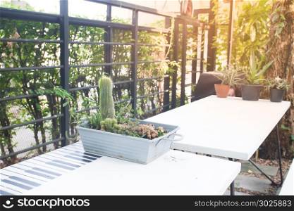 Home or outdoor cafe garden with sunlight