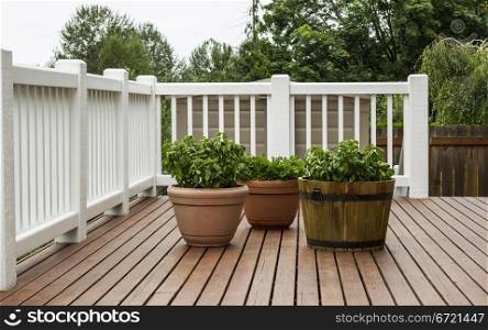 Home Patio Garden with basil and parsley on natural cedar wood with trees and sky in background