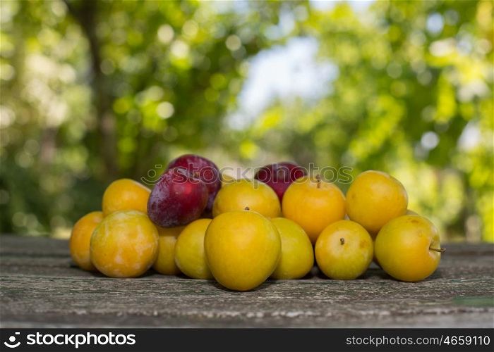 homegrown plums on wooden table in garden