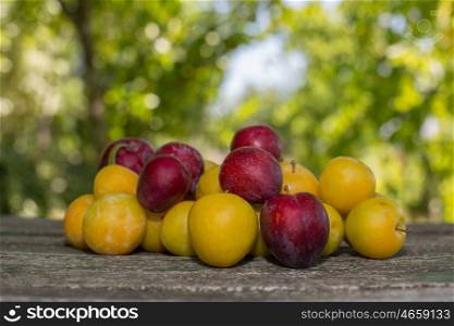 homegrown plums on wooden table in garden